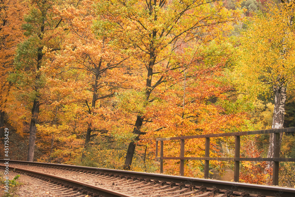 Vibrant colors in the fall tree leaves behind a railroad trach at Walzweiher reservoir in Germany. Vibrant colors in the fall tree leaves behind a railroad trach at Walzweiher reservoir in Germany.