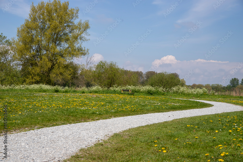 path in the park path in the park