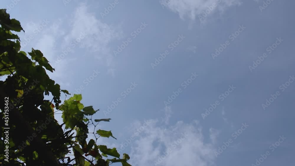 A man throws a bag of trash into a container for collecting waste against a background of blue sky. Sorting non-degradable waste garbage. Recycling. Ecology. A man throws a bag of trash into a container for collecting waste against a background of blue sky. Sorting non-degradable waste garbage. Recycling. Ecology.