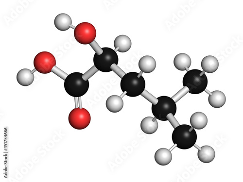 Leucic acid molecule, illustration photo