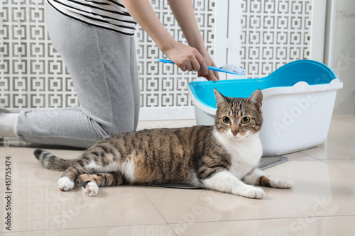 Woman cleaning cat litter tray in bathroom, closeup
