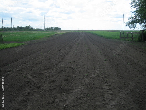 Smooth plowed field of fertile soil-chernozem.
