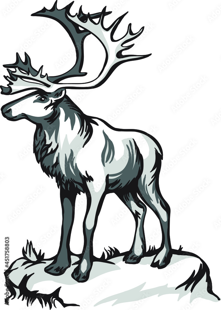 Fototapeta premium Caribou deer and indigenous peoples of northern Russia. Vintage black and white drawing. Vector illustration. Nature and man