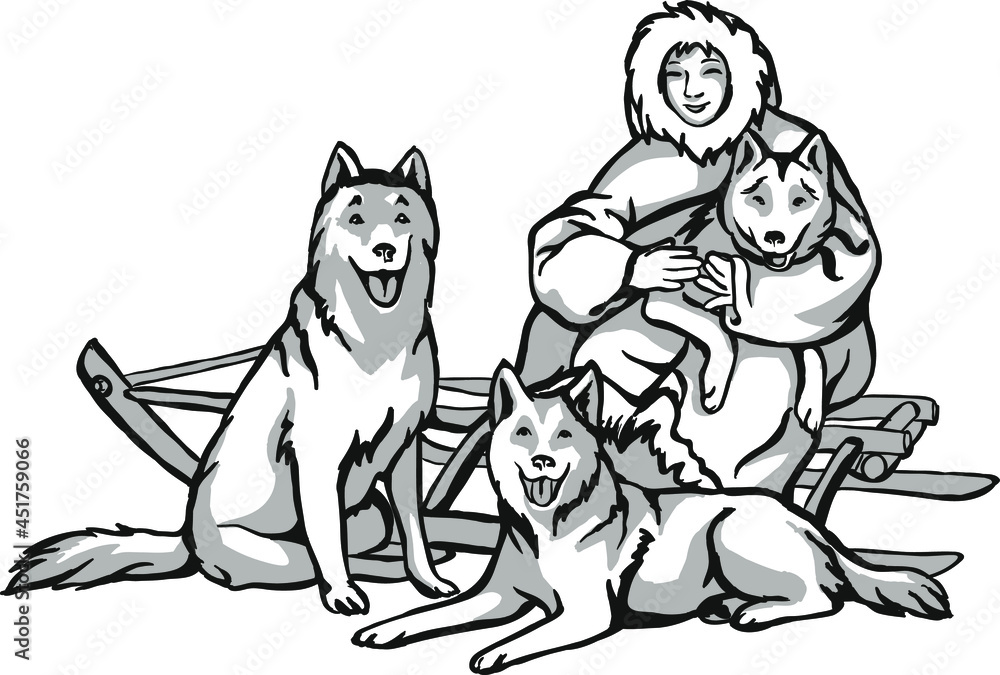 Sled dogs, animal helpers. Linear drawing of dogs driving a man ...