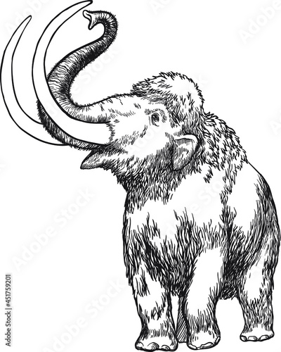 Black and white hand drawn sketch of mammoth on white background isolated vector illustration