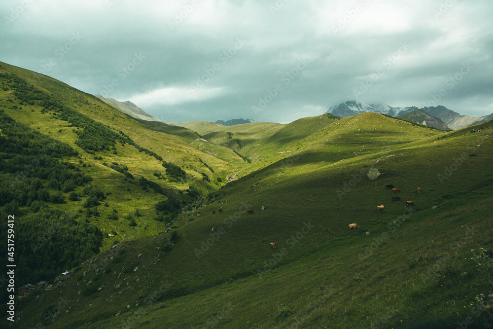 
A beautiful landscape photography with Caucasus Mountains in Georgia
