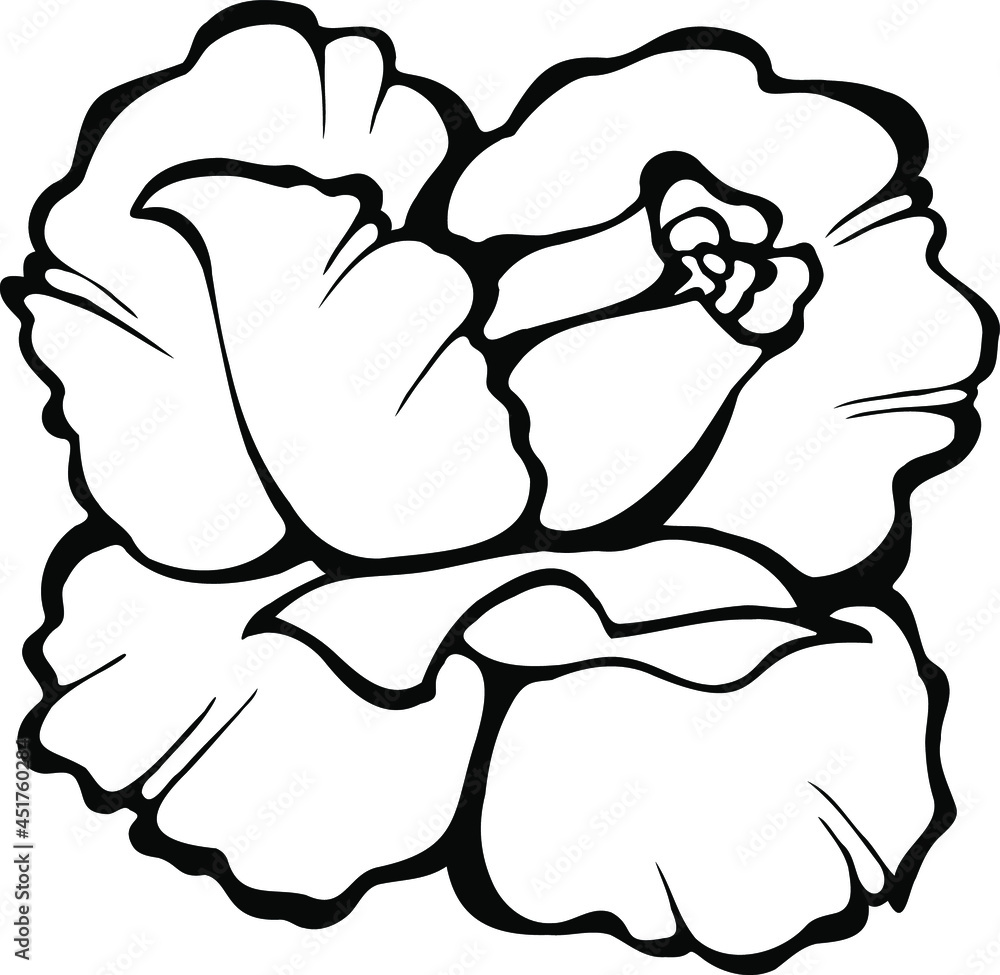 Vector image of a rose. Black outline on a white background. Vector image of a rose. Black outline on a white background.