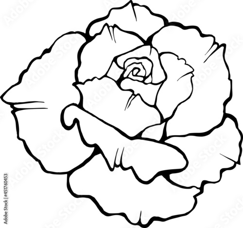 Vector image of a rose. Black outline on a white background.