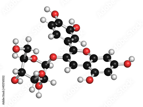Chrysanthemin plant pigment molecule, illustration photo