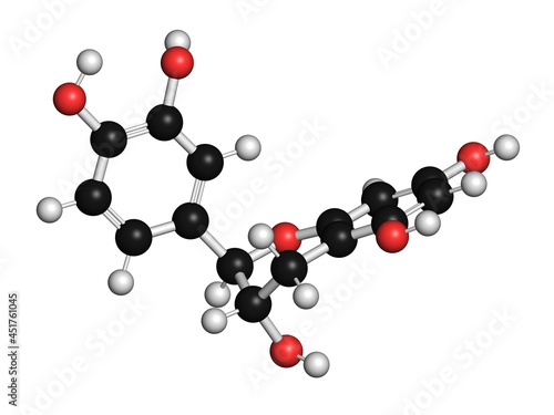 Catechin herbal antioxidant molecule, illustration photo