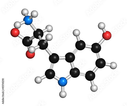 5-Hydroxytryptophan amino acid molecule, illustration