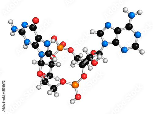 cGAMP molecule, illustration