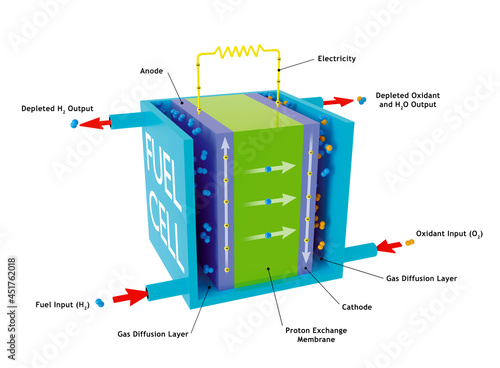 Hydrogen fuel cell, illustration