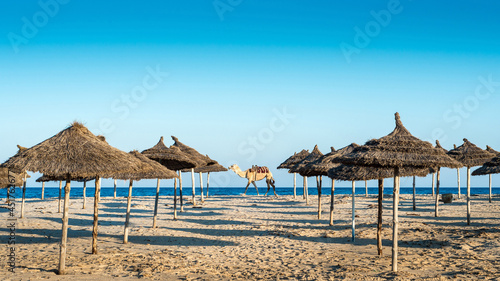 Le Royal Hammamet Hotel by BlueBay private beach © Anibal Trejo