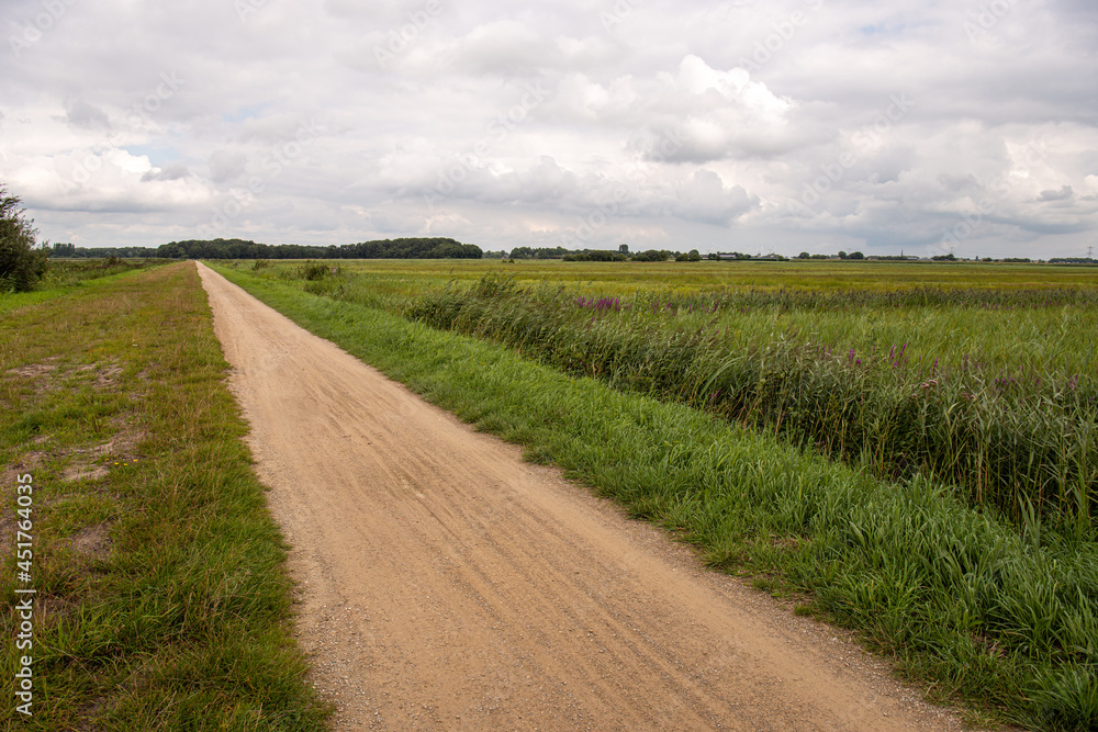 A long sandy path through the Terheijdense Binnenpolder, a peat meadow area created by peat being dug between the 13th and 15th century. The swampy site was lowered 1.5 meters as a result.