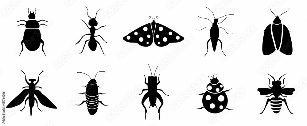 Insect Icons illustration in white background contain such as ant, butterfly, cockroach, bee, cricket and more. editable Insect Icons illustration in white background contain such as ant, butterfly, cockroach, bee, cricket and more. editable