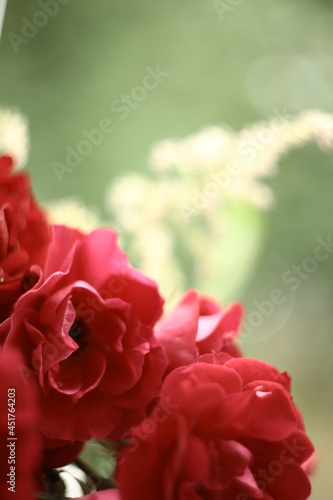 Flowers with bokeh and blur effect