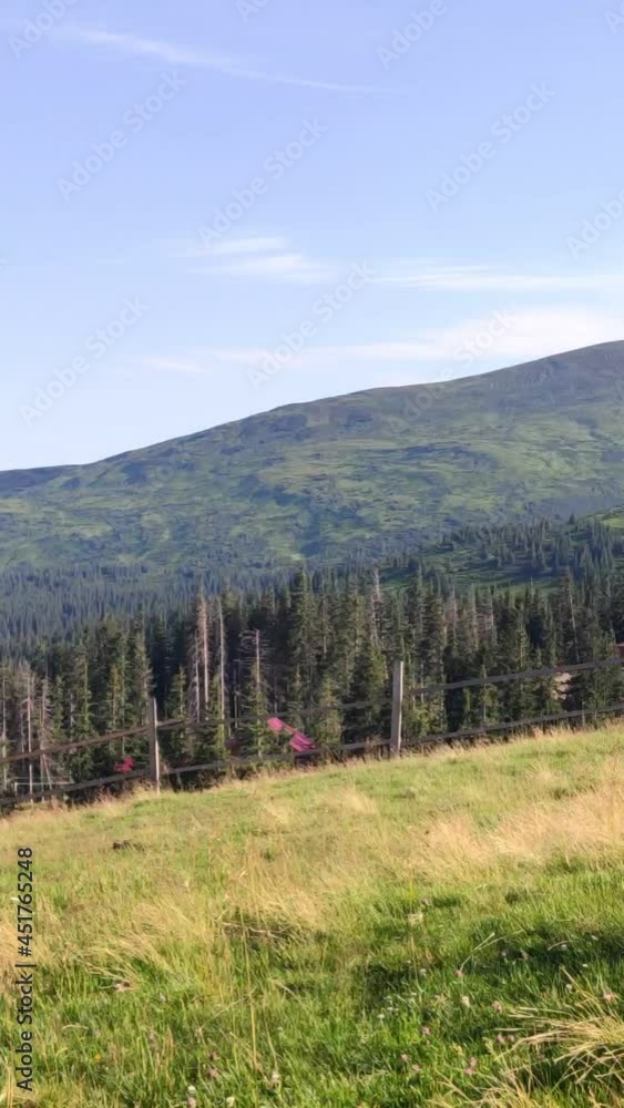 panoramic view of carpathian mountains panoramic view of carpathian mountains