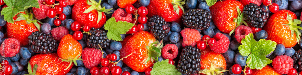 Berries fruits berry fruit strawberries strawberry blueberries blueberry panorama background - obrazy, fototapety, plakaty 