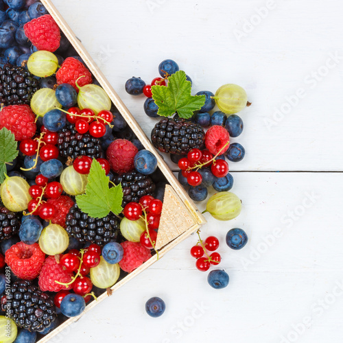 Berries fruits berry fruit strawberries strawberry blueberries blueberry with copyspace copy space square in a box