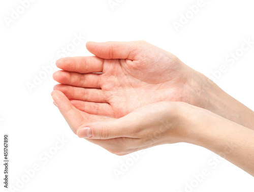 hand on a white background