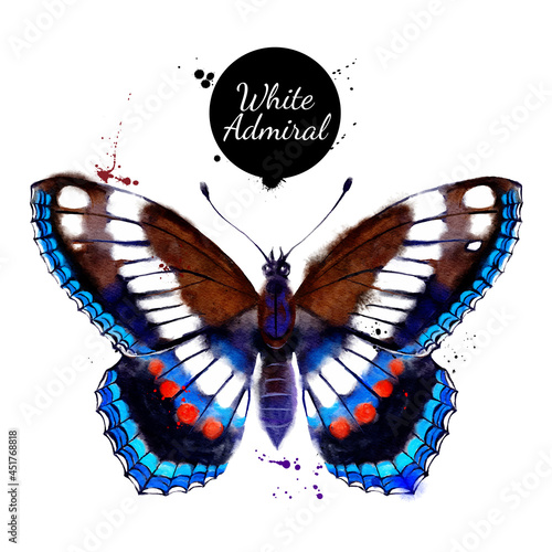 Watercolor illustration of butterfly White admiral, Limenitis arthemis. Vector painted isolated tropical wild nature insect on white background