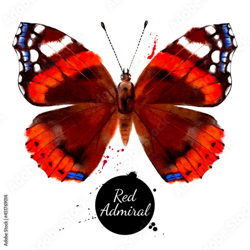 Watercolor illustration of butterfly Red Admiral, Vanessa atalanta. Vector painted isolated tropical wild nature insect on white background