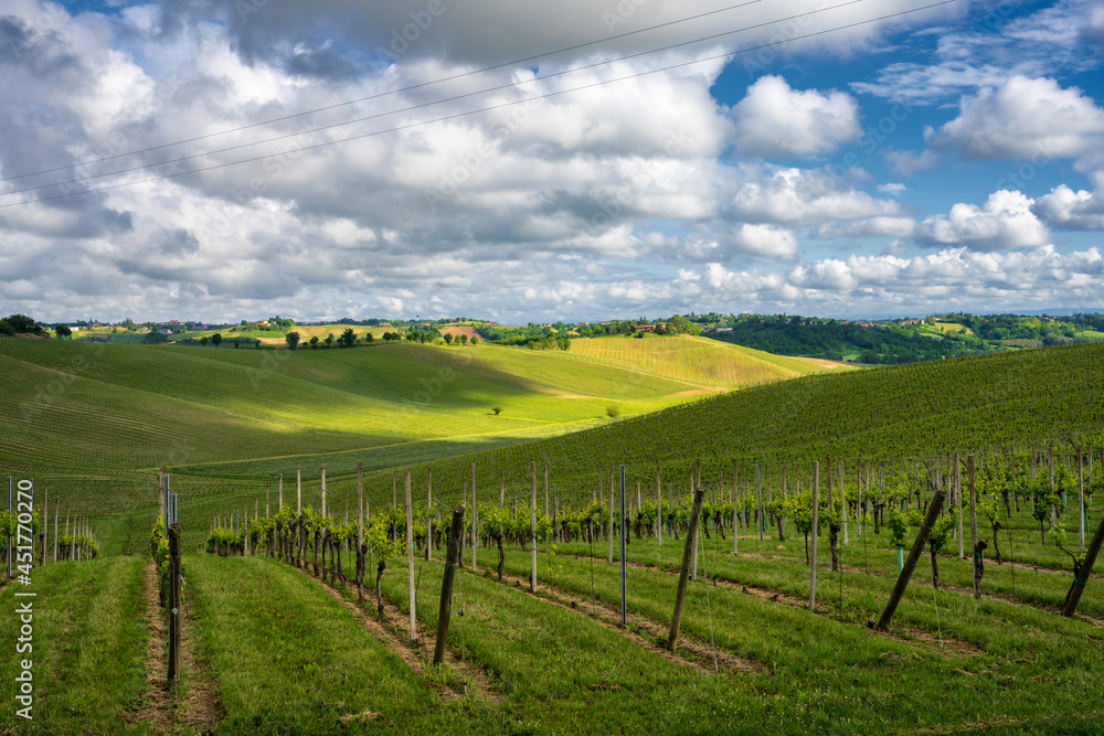 Landscape of Monferrato near Calliano at springtime
