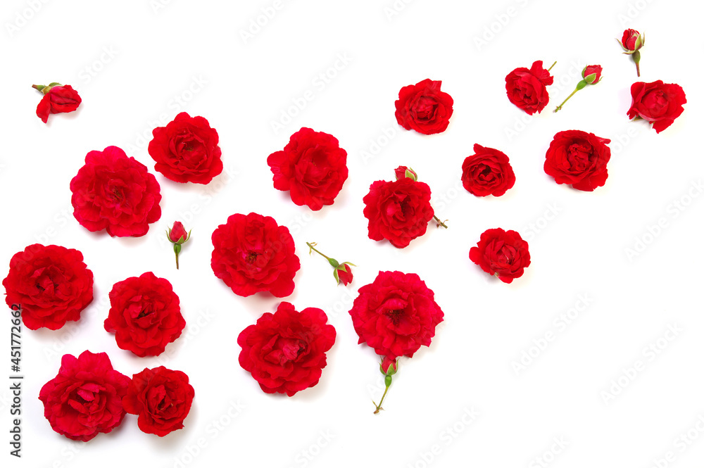Red roses on white Red roses on white