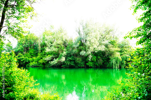 Landscape at the Rolandsee near Beckum. Green nature at a lake in Germany.