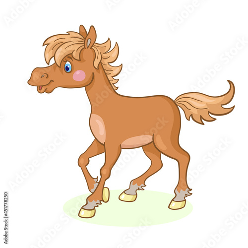 Little funny brown horse. In cartoon style. Isolated on white background. Vector illustration.