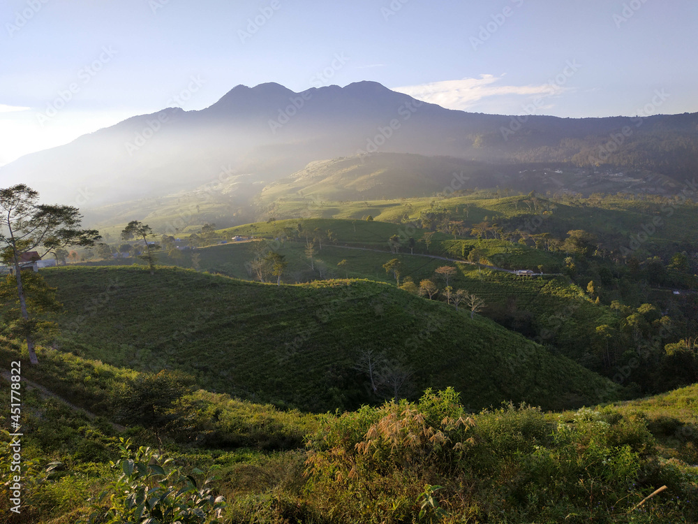 The tea plantation at the foot of Mount Lawu is very beautiful and green