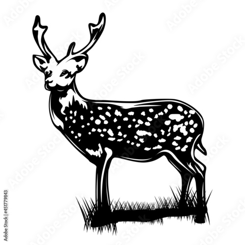 Deer on white background. Vector silhouette. Isolated white background. Vector illustration design. Elegant decoration. Vector illustration element.