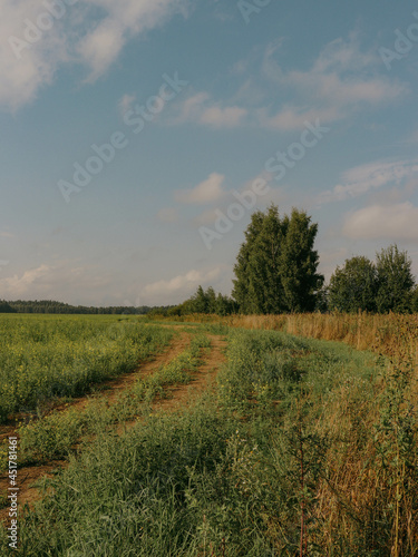 Countryside living