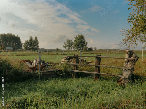 Fototapeta Naklejka Na Ścianę i Meble -  Countryside living