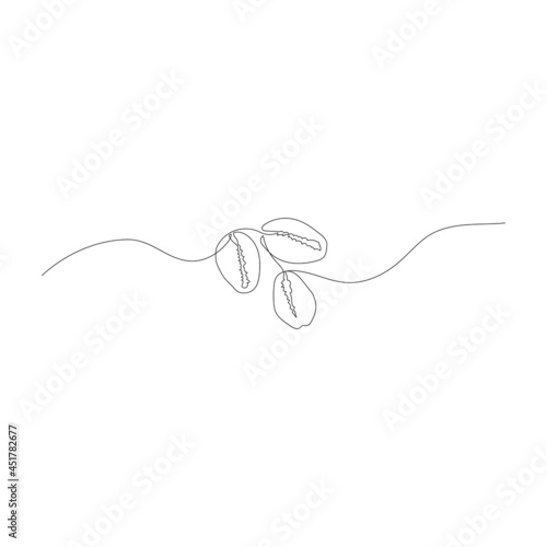 Continuous one line drawing of seashells. Modern minimalistic art. Vector illustration.