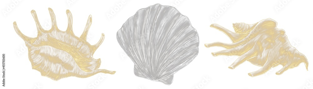 Silver and gold shells, illustrations, hatched on a white background, decorative elements Silver and gold shells, illustrations, hatched on a white background, decorative elements