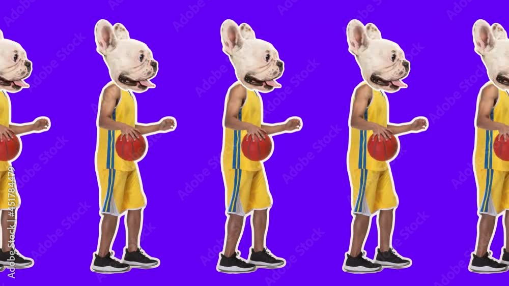 custom made wallpaper toronto digitalDigitally generated. 4K Minimal animation motion design. Funny dog face on basketball player with ball. Pop mood. Man in stop motion, 2D, modern, conceptual, contemporary pop art collage. Sport concep