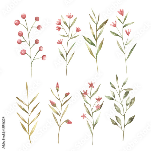 Fototapeta Naklejka Na Ścianę i Meble -  set of branches with red and pink flowers and green leaves,  botanical illustration for printing , wedding design