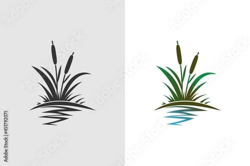 Vector illustration of a colored and one-color bush of cattail  reeds with reflection in the water. River coastal vegetation.