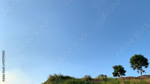 The hills with green grass trees contrasted with the blue of the sky ,landscape on vacation © Paphinya26