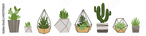 Set of Cactus and succulents in flowerpot, florarium. Houseplants. Succulents in florarium, cactus, house plants collection. Growing green sprouts in pot. Florarium, glass vase. 