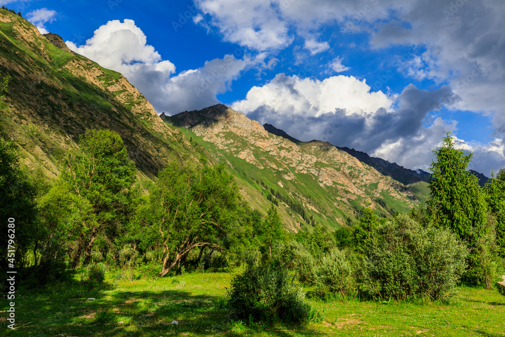 Fototapeta premium Magnificent mountain and green grassland in Xiata Scenic Area,Xinjiang,China.
