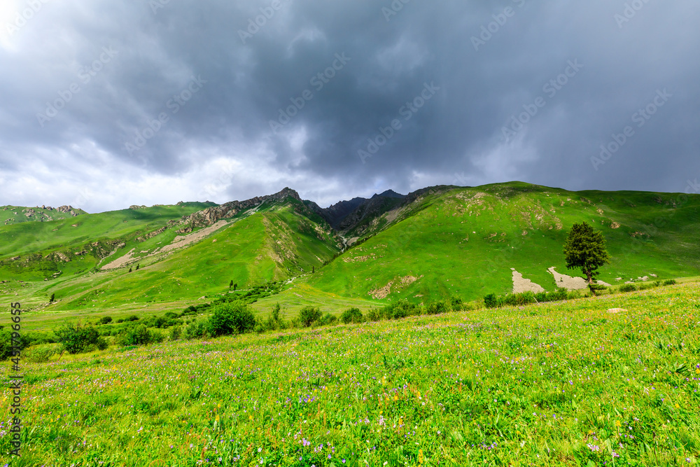 Mountain and grassland scenery in Xiata Scenic Area,Xinjiang,China. Mountain and grassland scenery in Xiata Scenic Area,Xinjiang,China.