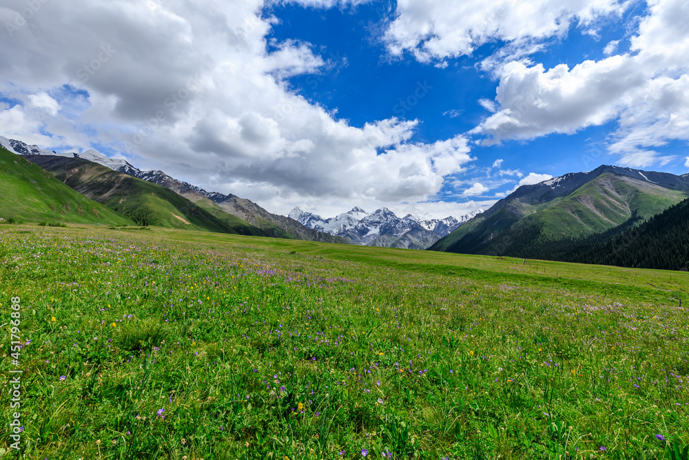 Fototapeta premium Mountain and grassland scenery in Xiata Scenic Area,Xinjiang,China.