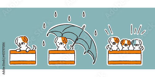 ダンボールの捨て犬・雨の中・子犬（シンプル）