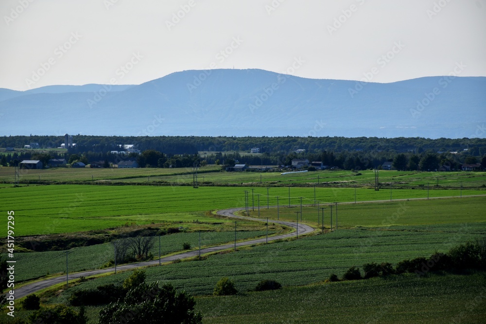A road crosses agricultural land, Montmagny, Québec, Canada