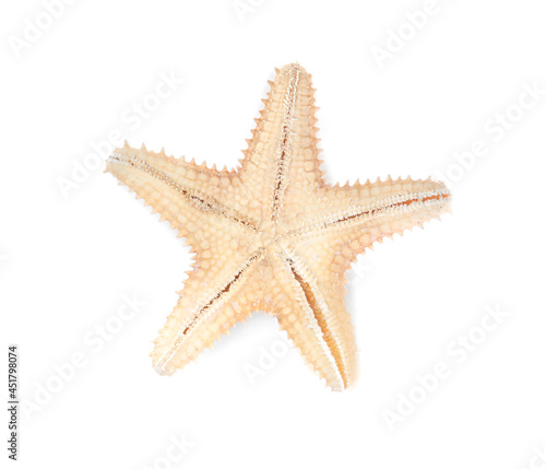 Beautiful sea star isolated on white, top view. Beach object
