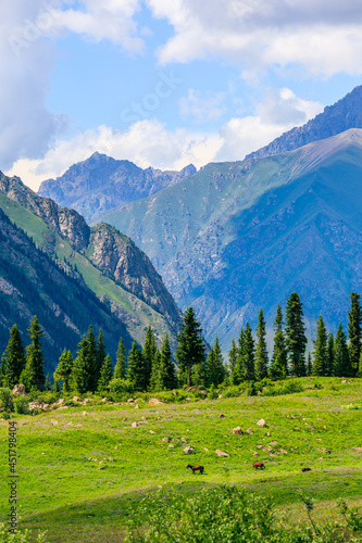 Magnificent mountain and green grassland in Xiata Scenic Area,Xinjiang,China.