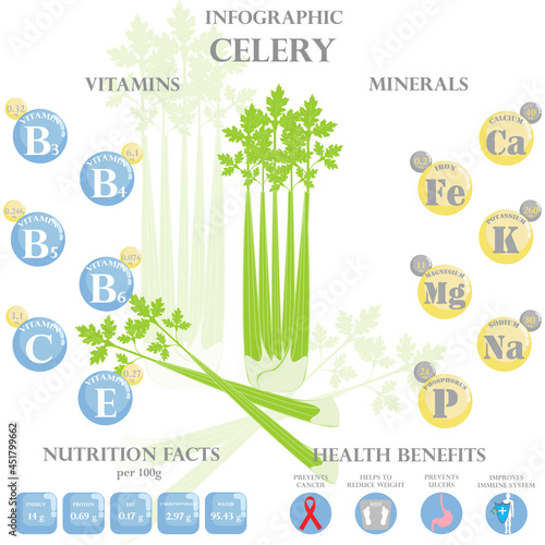 Health benefits and nutrition facts of celery infographic vector illustration.